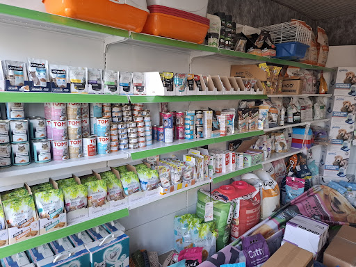 Alinn Petshop | Kağıthane İstanbul - Evcil Hayvan Malzemeleri Mağazası