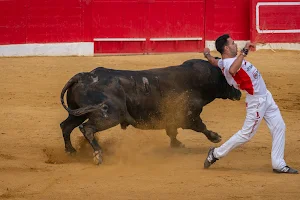 Plaza de toros Alfaro image