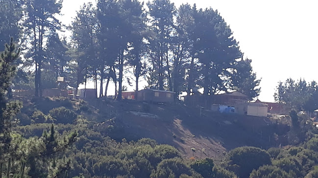 Comentarii opinii despre Valparaíso