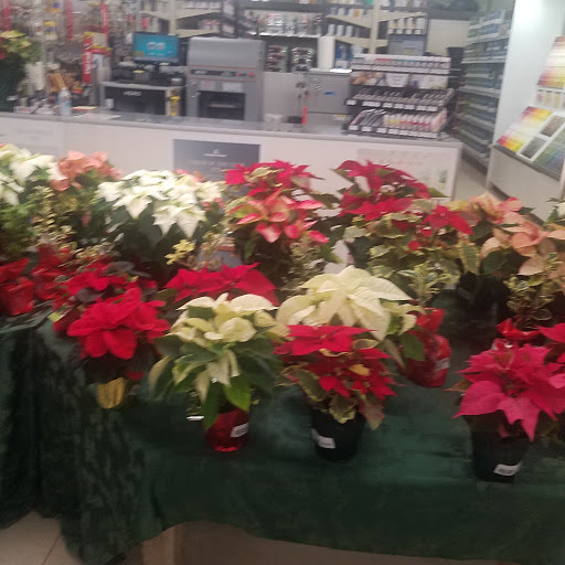 Home Improvement Store «Cashmans Ace Hardware», reviews and photos, 1595 PA-194, East Berlin, PA 17316, USA