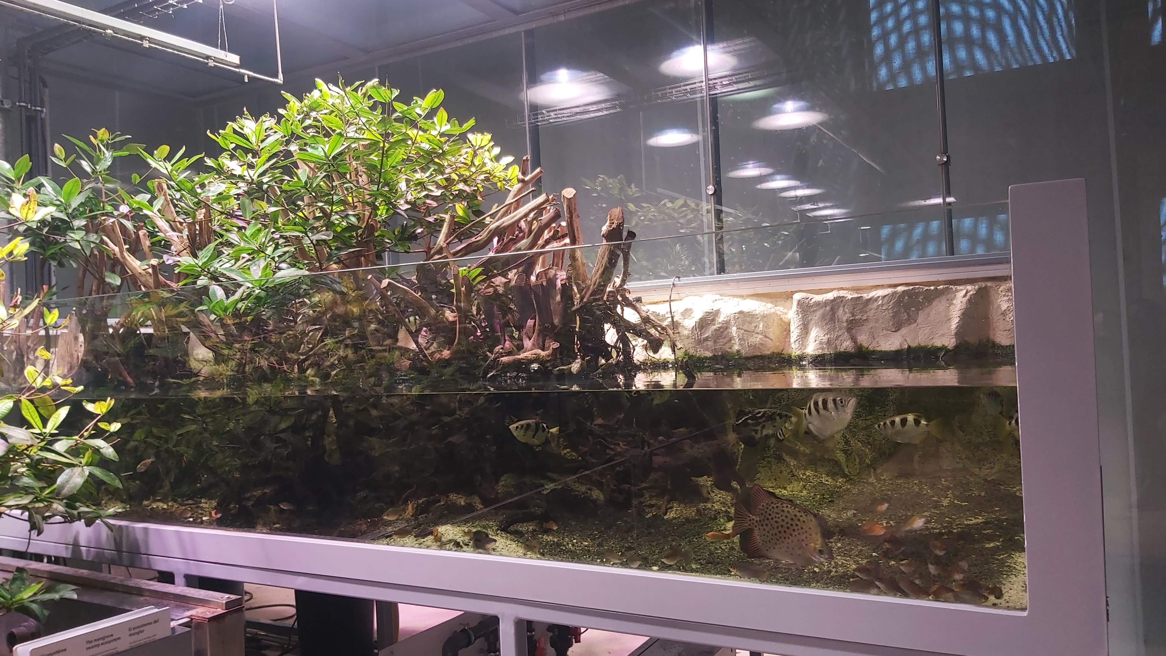 Photo n° 25 de l'avis de Celine.e fait le 27/01/2024 à 14:49