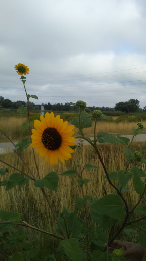 Park «Horseshoe Park», reviews and photos, 15151 E Alameda Pkwy, Aurora, CO 80012, USA