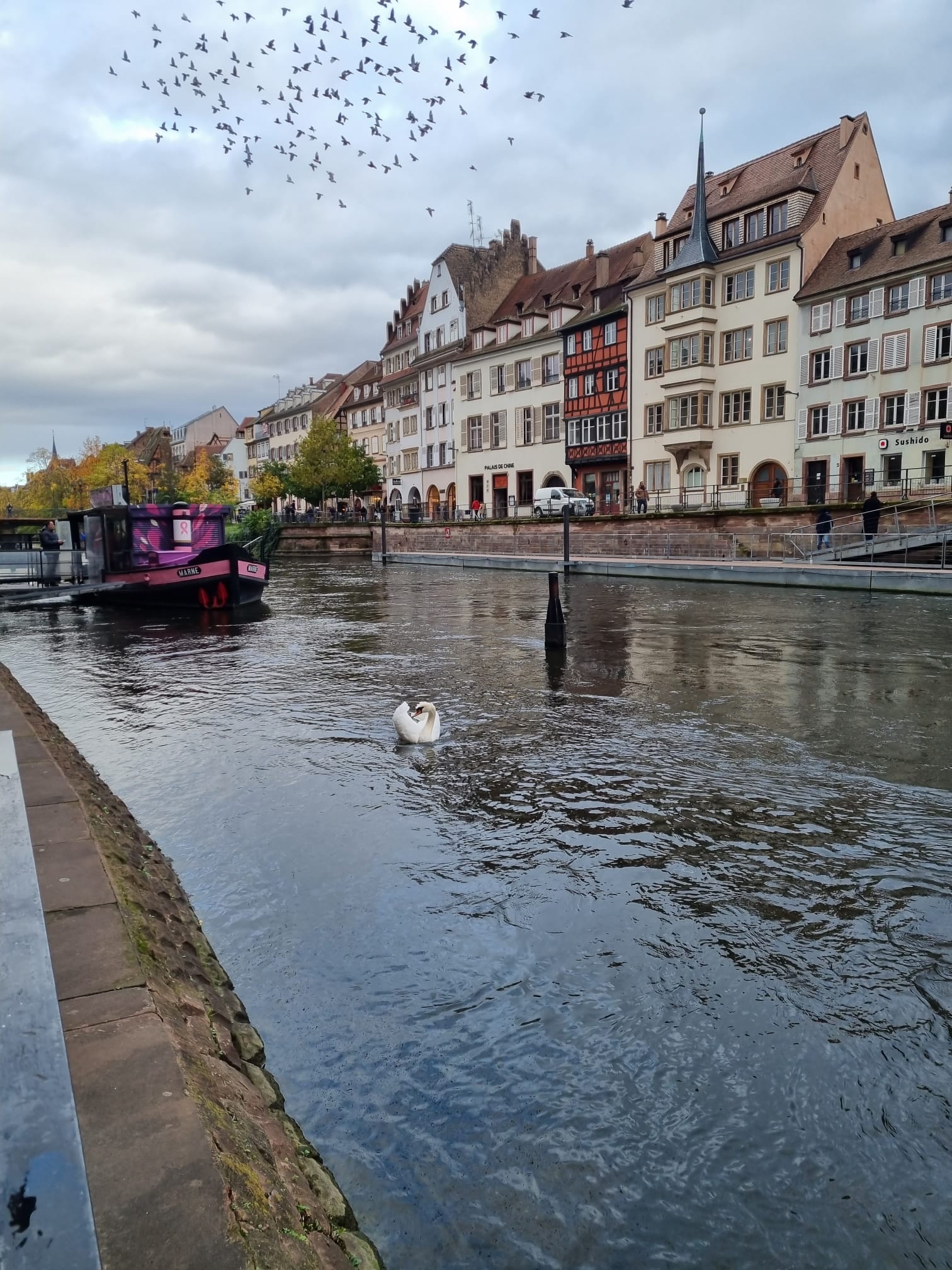 Photo n° 1 de l'avis de PPZ.2 fait le 16/11/2023 à 19:07
