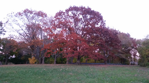 Park «Kissena Park», reviews and photos, 164-15 Booth Memorial Ave, Fresh Meadows, NY 11365, USA