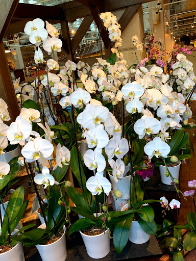 Grocery Store «The Fresh Market», reviews and photos, 2640 S Bayshore Dr, Miami, FL 33133, USA