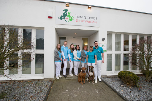 Tierarztpraxis Borken-Weseke unter Borken, 