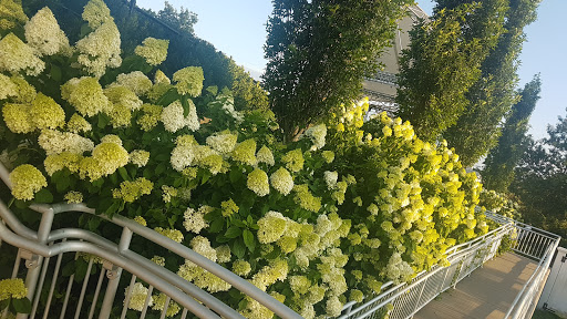 Live Music Venue «The Levitt Pavilion for the Performing Arts», reviews and photos, 40 Jesup Rd, Westport, CT 06880, USA