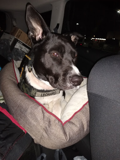 Department Store «Walmart Supercenter», reviews and photos, 1410 N Market St, Sparta, IL 62286, USA