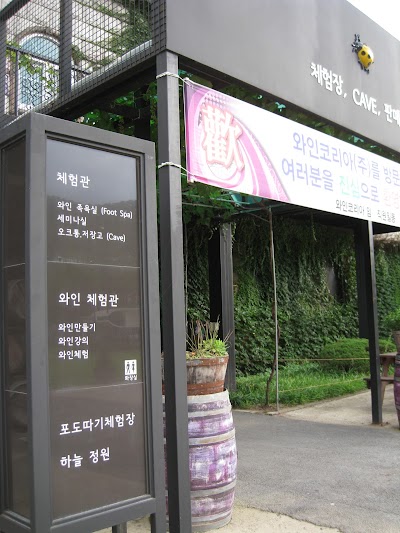 Photos of 와인코리아