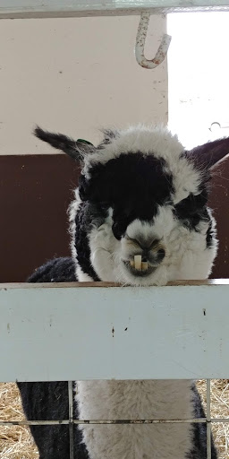 Farm «Bella Organic Farm», reviews and photos, 16205 NW Gillihan Rd, Portland, OR 97231, USA