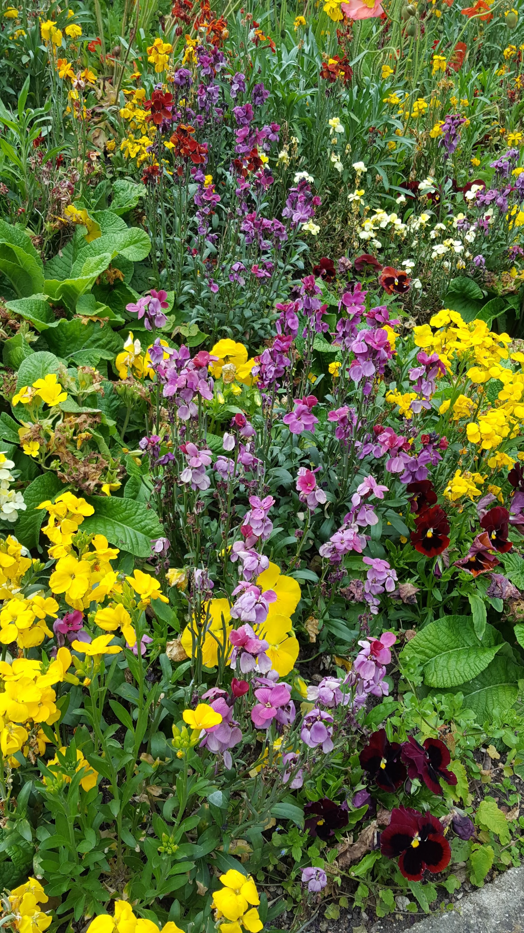 Photo n° 11 de l'avis de Sandrine.e fait le 22/05/2019 à 07:42