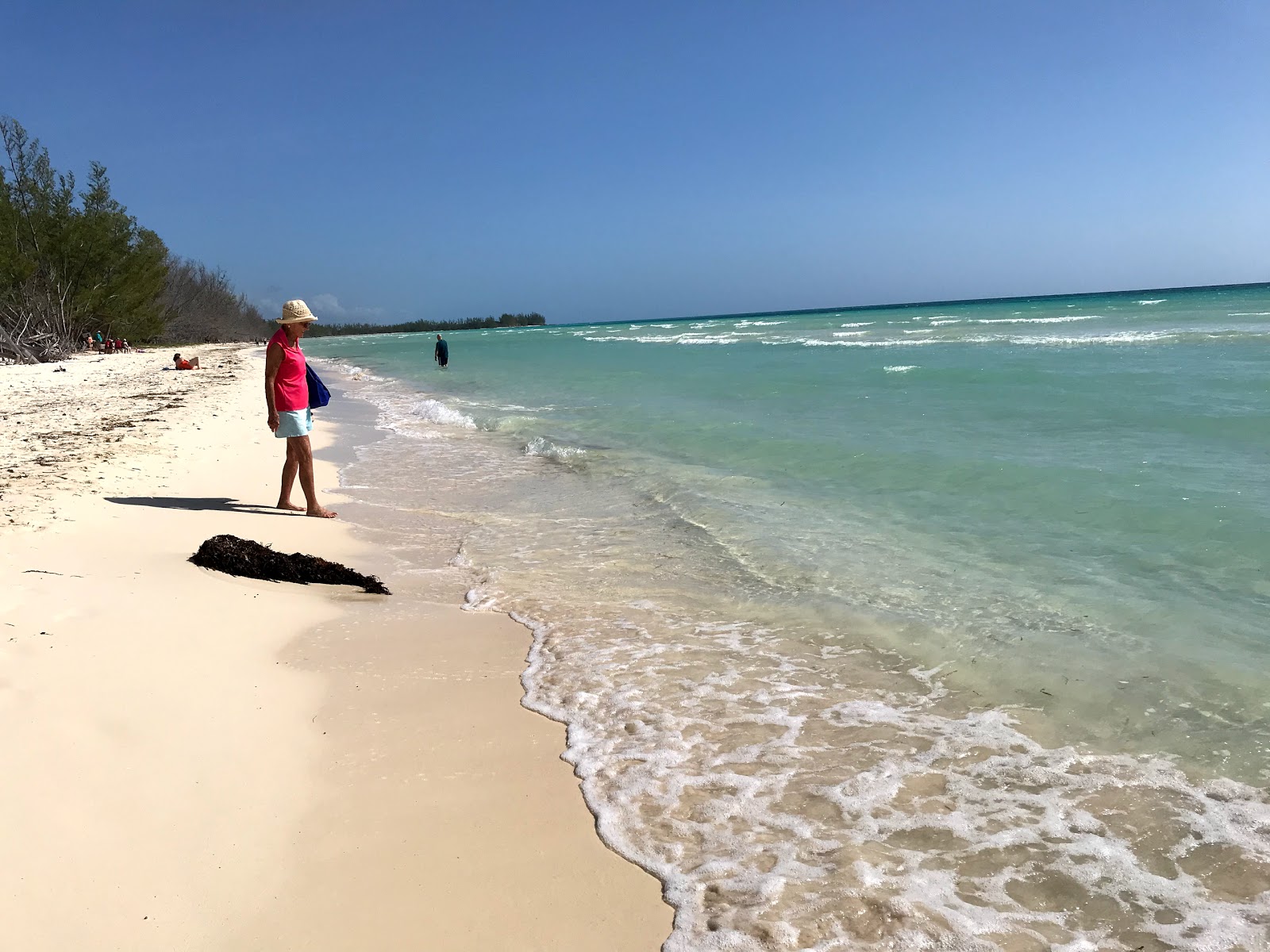 Foto van Gold Rock beach gelegen in een natuurlijk gebied