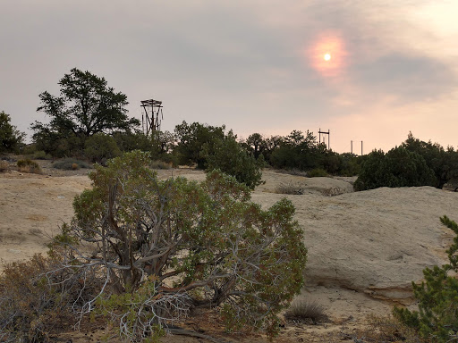 Community College «San Juan College», reviews and photos