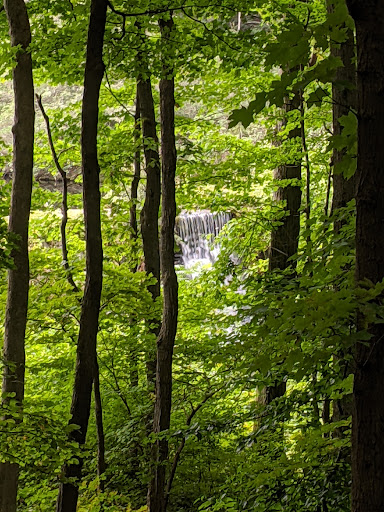 Public Golf Course «West Point Golf Course», reviews and photos, 1230 NY-218, West Point, NY 10996, USA