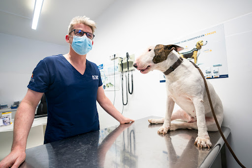 Hospital Veterinario de Lleida en Lleida