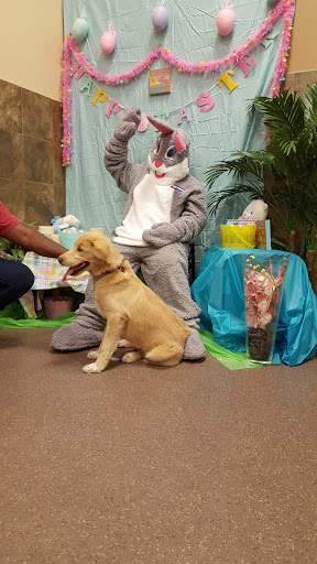 Pet Supply Store «PetSmart», reviews and photos, 4400 Fort Jackson Blvd #300, Columbia, SC 29209, USA