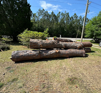 Rosas Tree Service of San Ramon - Photo 3 - Car repair in , Hayward