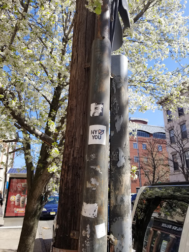 Health Club «New York Sports Clubs», reviews and photos, 59 Newark St, Hoboken, NJ 07030, USA