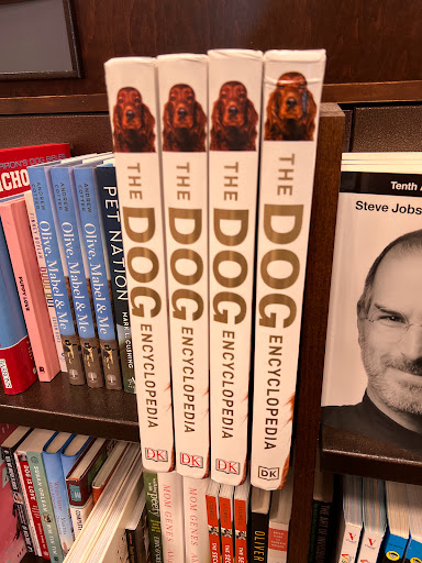 Book Store «Barnes & Noble», reviews and photos, 4000 Jericho Turnpike, East Northport, NY 11731, USA