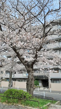 本牧元町東公園