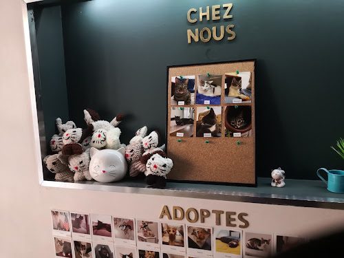 Centre d'escape game Le Triangle - Escape game Paris