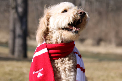 Auto Insurance Agency «Mike Bashore - State Farm Insurance Agent», reviews and photos