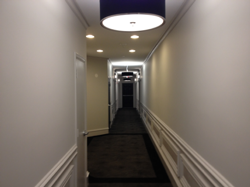 Painter «Williams Professional Painting», reviews and photos, 110 S Floyd St, Alexandria, VA 22304, USA