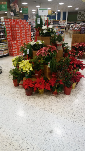 Supermarket «Publix Super Market at Camden Woods Shopping Center», reviews and photos, 1601 Ga Highway 40 E, Kingsland, GA 31548, USA