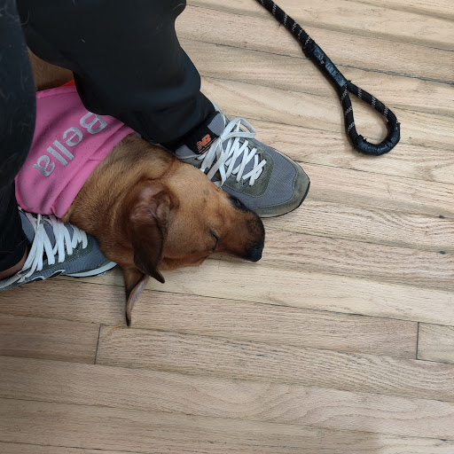 2458 New Market Rd, Richmond, VA 23231, USA