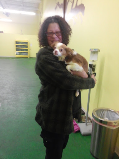 Pet Supply Store «Pet Supplies Plus», reviews and photos, 311 Sagamore Pkwy N, Lafayette, IN 47904, USA