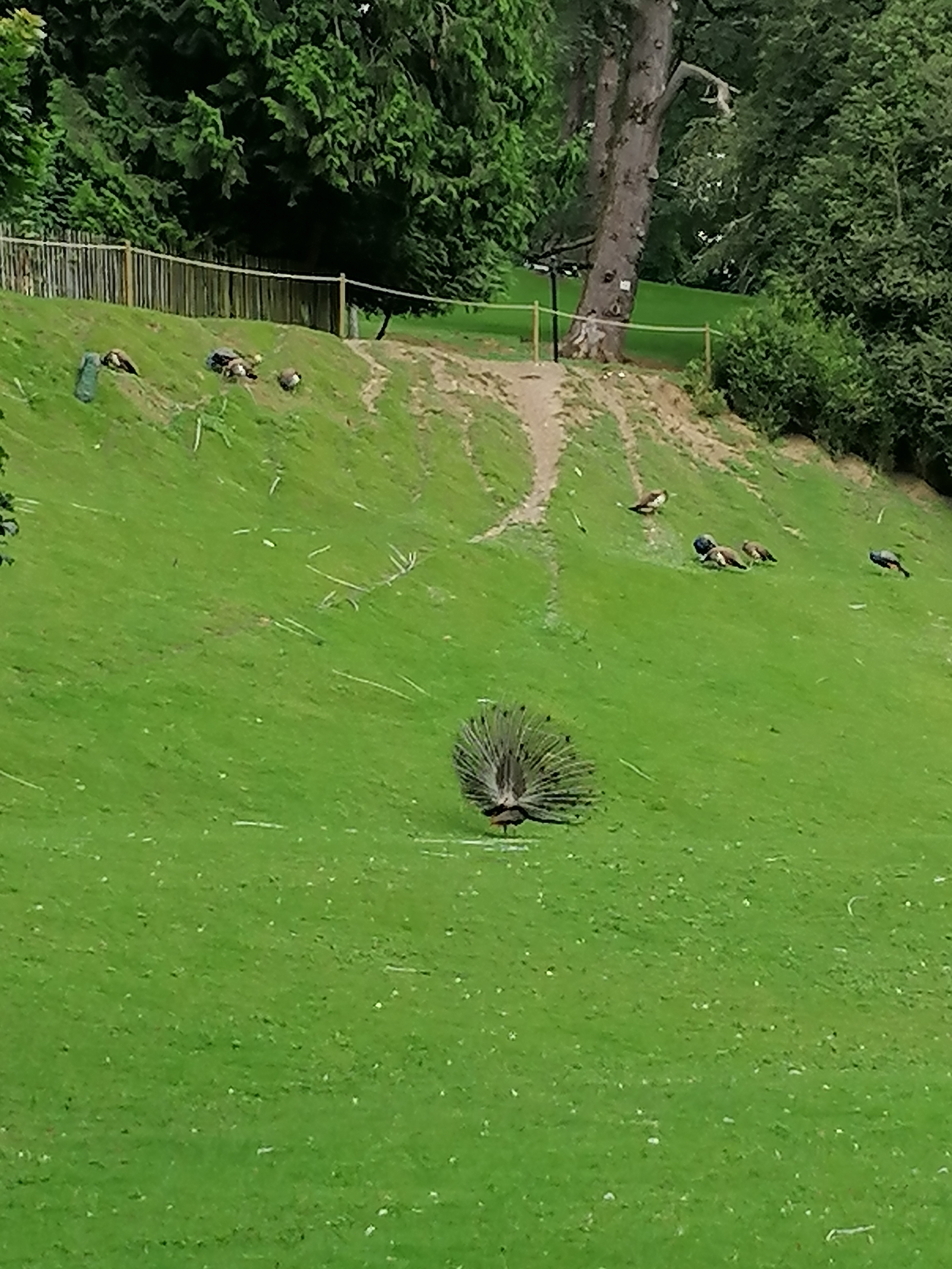 Photo n° 4 de l'avis de Amandine.e fait le 19/08/2021 à 13:40