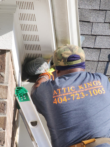 Pest Control Service «Attic Kings», reviews and photos