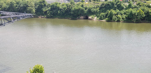 Museum «Johnny Cash Museum», reviews and photos, 119 3rd Ave S, Nashville, TN 37201, USA