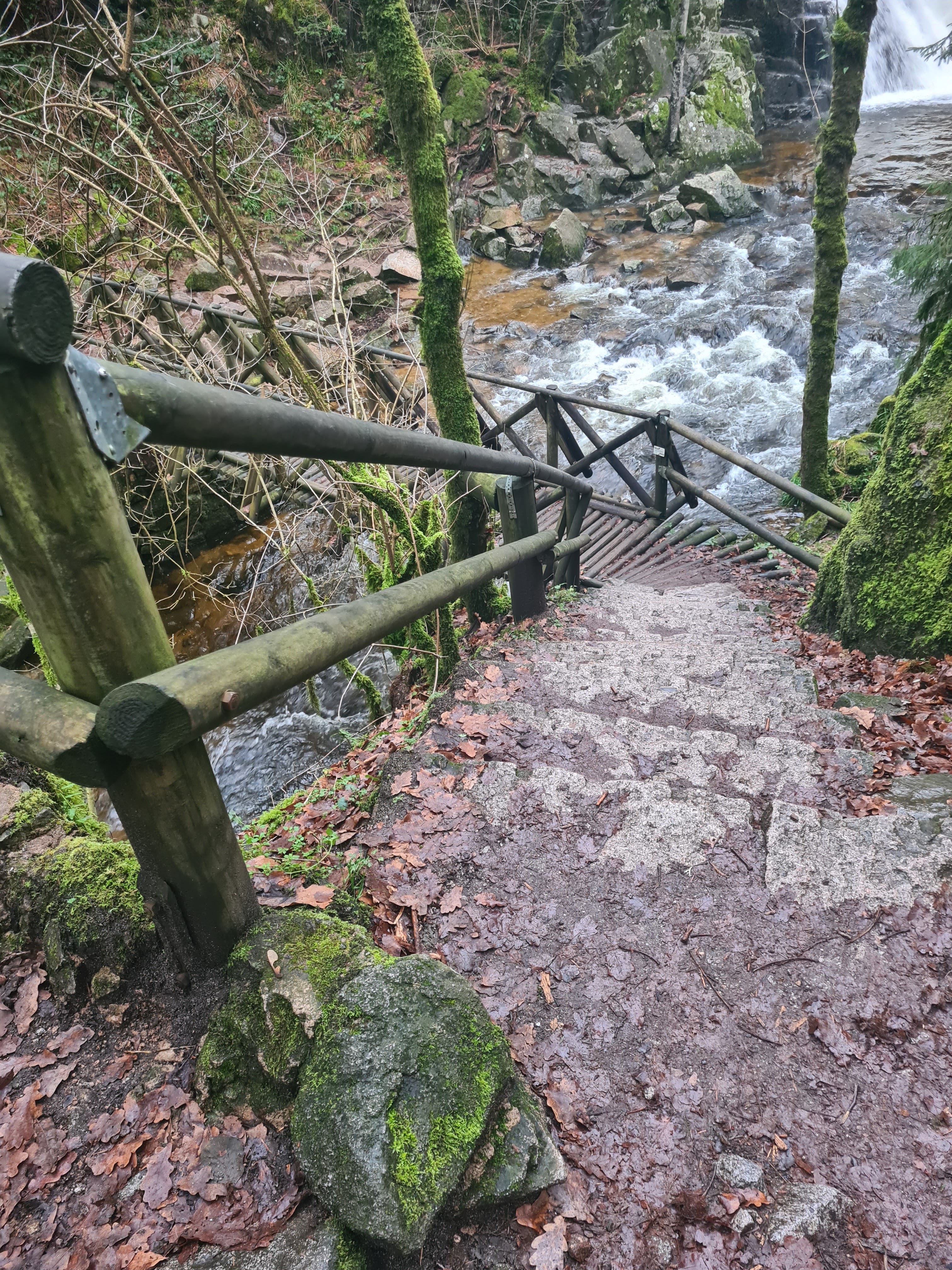 Photo n° 5 de l'avis de martine.e fait le 04/01/2023 à 08:26