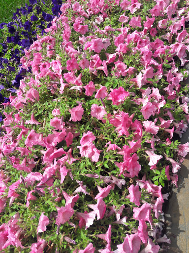 Steak House «The Brick House», reviews and photos, 179 Godwin Ave, Wyckoff, NJ 07481, USA