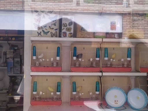 L'Aviram en La Garriga, Barcelona