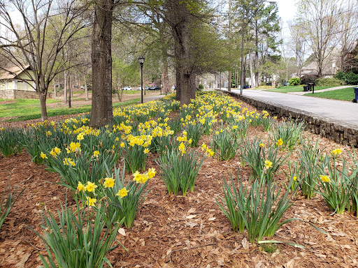 Park «Chastain Memorial Park», reviews and photos, 140 W Wieuca Rd NW, Atlanta, GA 30342, USA
