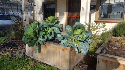 Community Center «Washington Park Community Center», reviews and photos, 2025 Washington St, Eugene, OR 97405, USA