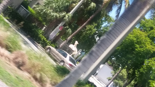 Beach Resort «The Miami Beach Resort & Spa», reviews and photos, 4833 Collins Ave, Miami Beach, FL 33140, USA