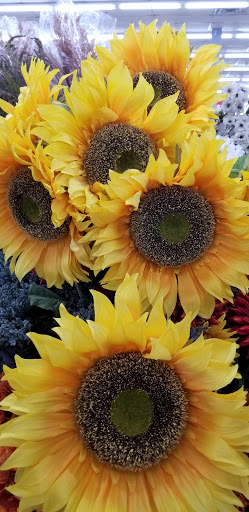 Craft Store «Michaels», reviews and photos, 365 Boardman-Canfield Rd, Boardman, OH 44512, USA