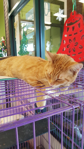 Pet Supply Store «Pet Supplies Plus», reviews and photos, 2057 S Telegraph Rd, Bloomfield Hills, MI 48302, USA