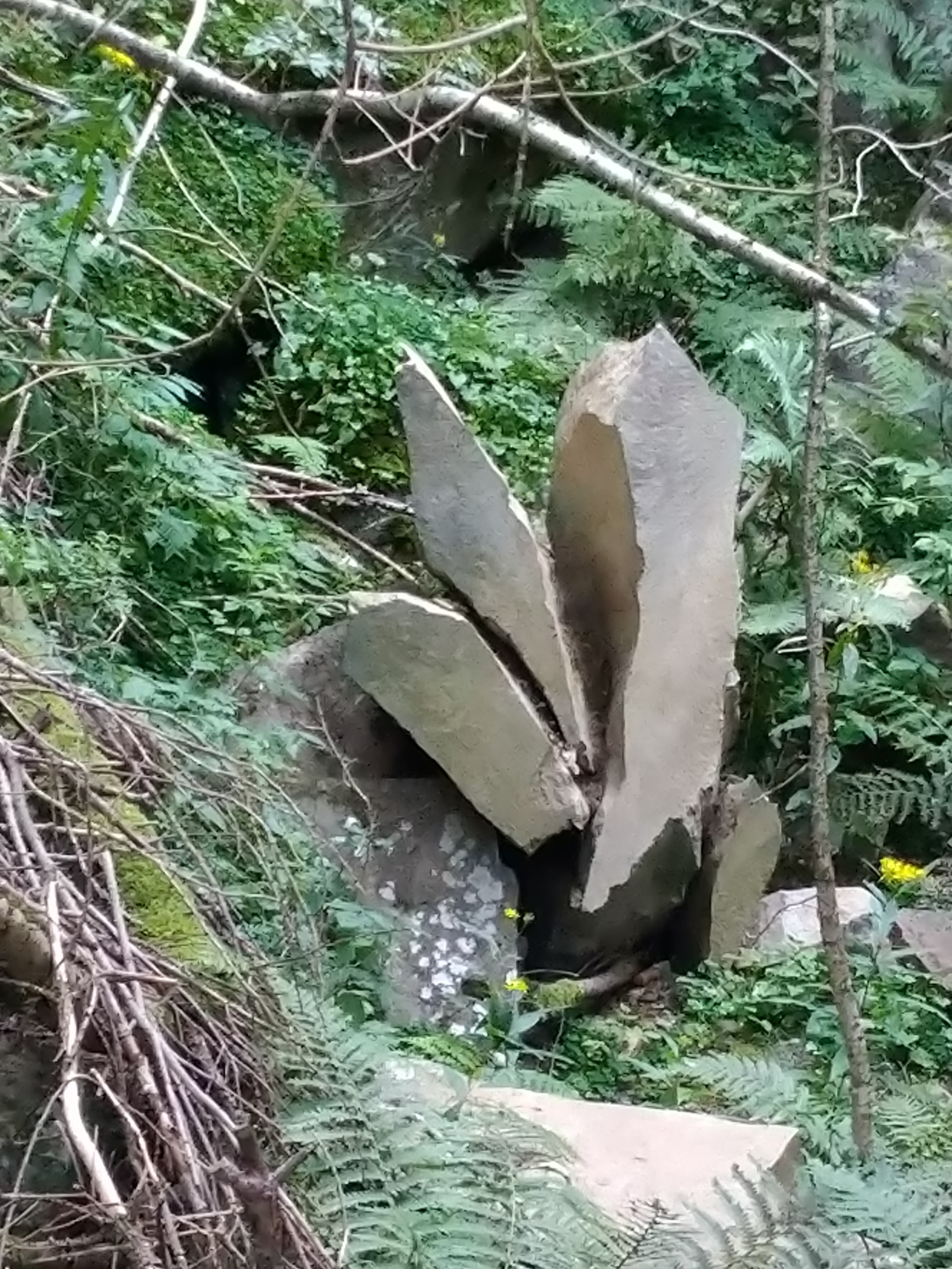 Photo n° 2 de l'avis de Ju.a fait le 14/08/2021 à 15:08