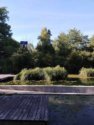 Marais de la Galance à Noyelles-sous-Lens