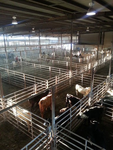 Springfield Livestock Marketing Center