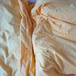 Photo n°2 de l'avis de Christoph.e fait le 29/05/2023 à 14:45 sur le  Landhotel Kains Hof GmbH à Uhlstädt-Kirchhasel