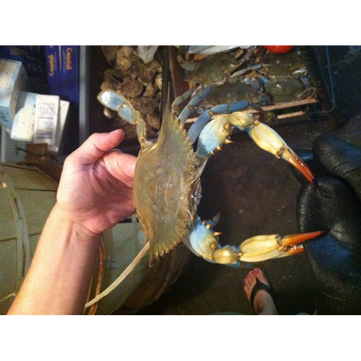 Seafood Market «Bonney & Sons Seafood And Produce», reviews and photos, 1973 Indian River Rd, Virginia Beach, VA 23456, USA