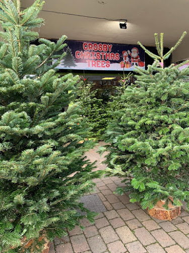Reviews of Crosby Christmas Trees in Liverpool - Shop