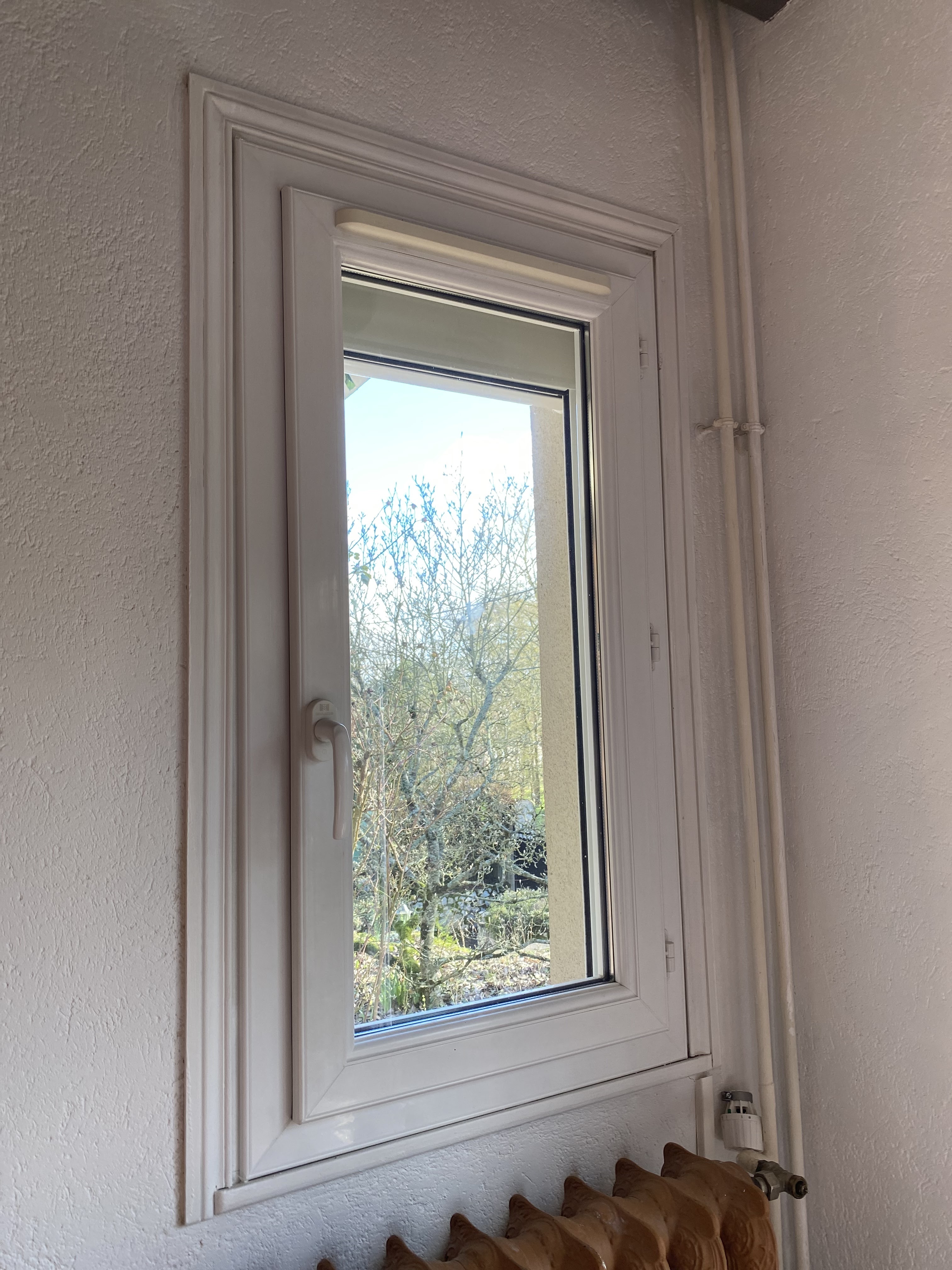 Photo n° 8 de l'avis de Manon.e fait le 07/01/2022 à 13:03