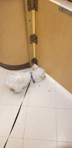 Pet Supply Store «PetSmart», reviews and photos, 3500 S Glenstone Ave, Springfield, MO 65804, USA