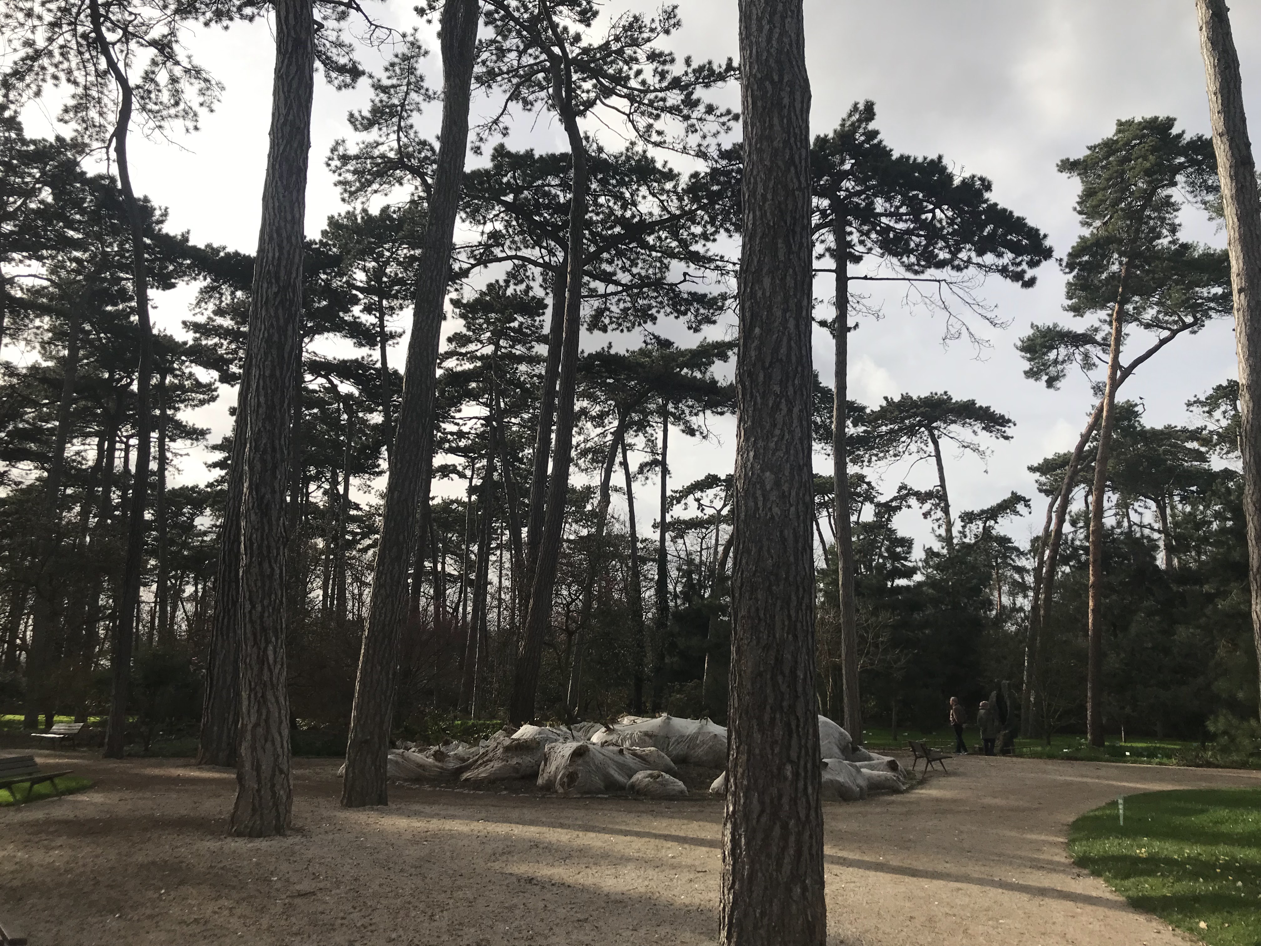 Photo n° 3 de l'avis de mihnea.n fait le 29/03/2019 à 17:57